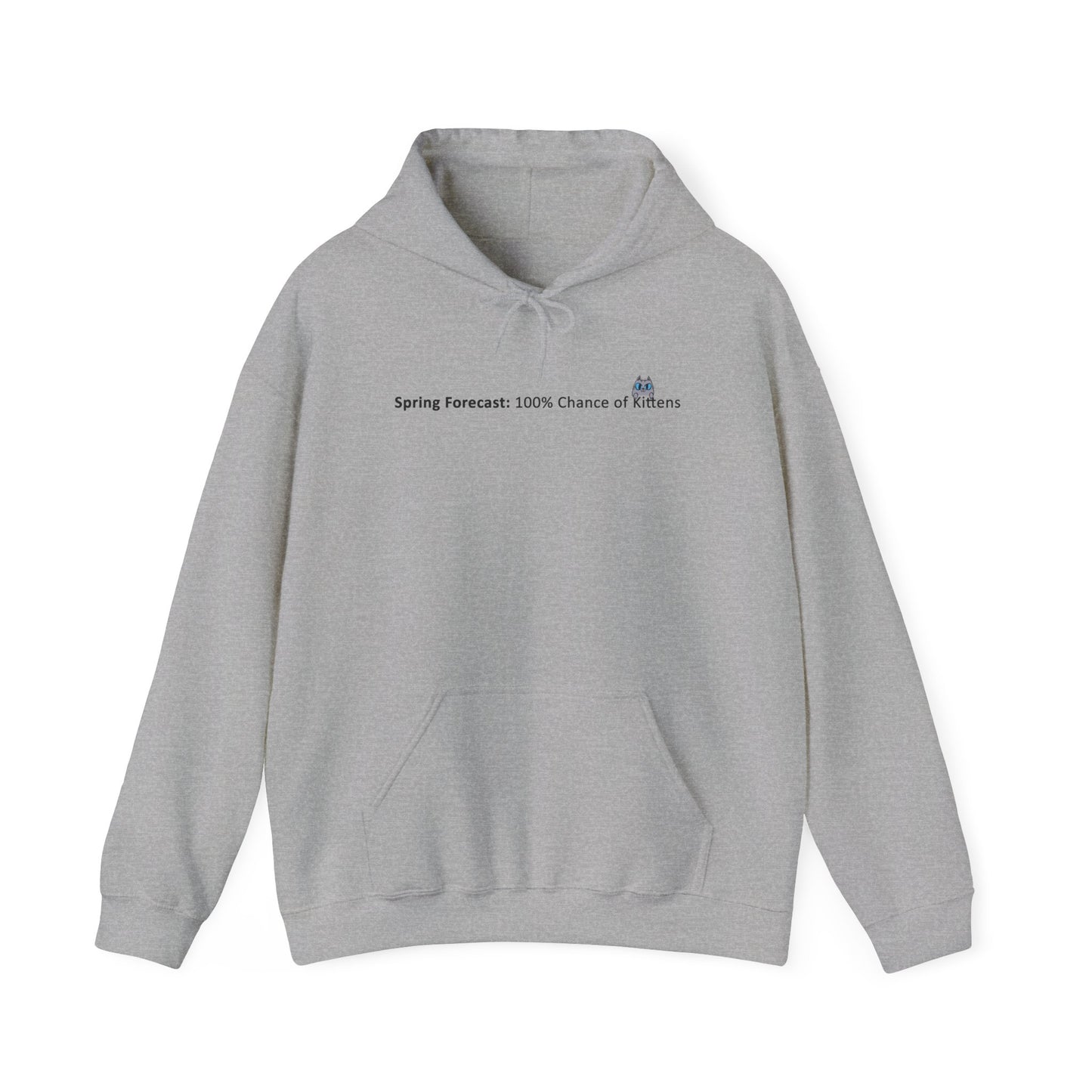 Kitten Season Hoodie