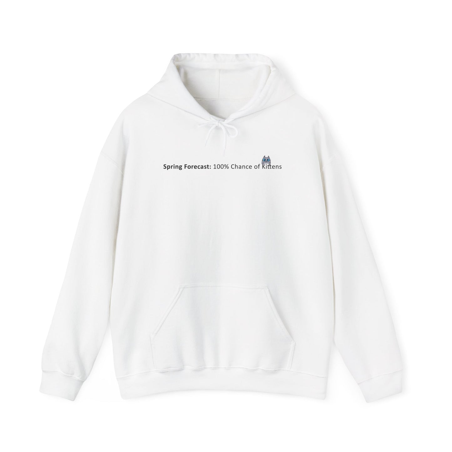 Kitten Season Hoodie