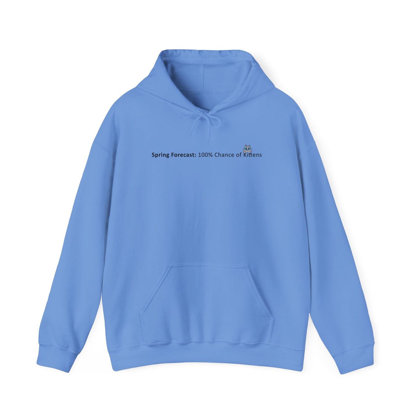 Kitten Season Hoodie
