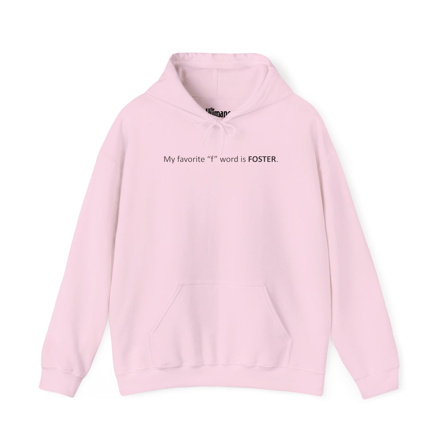 My Favorite 'F' Word - Hoodie