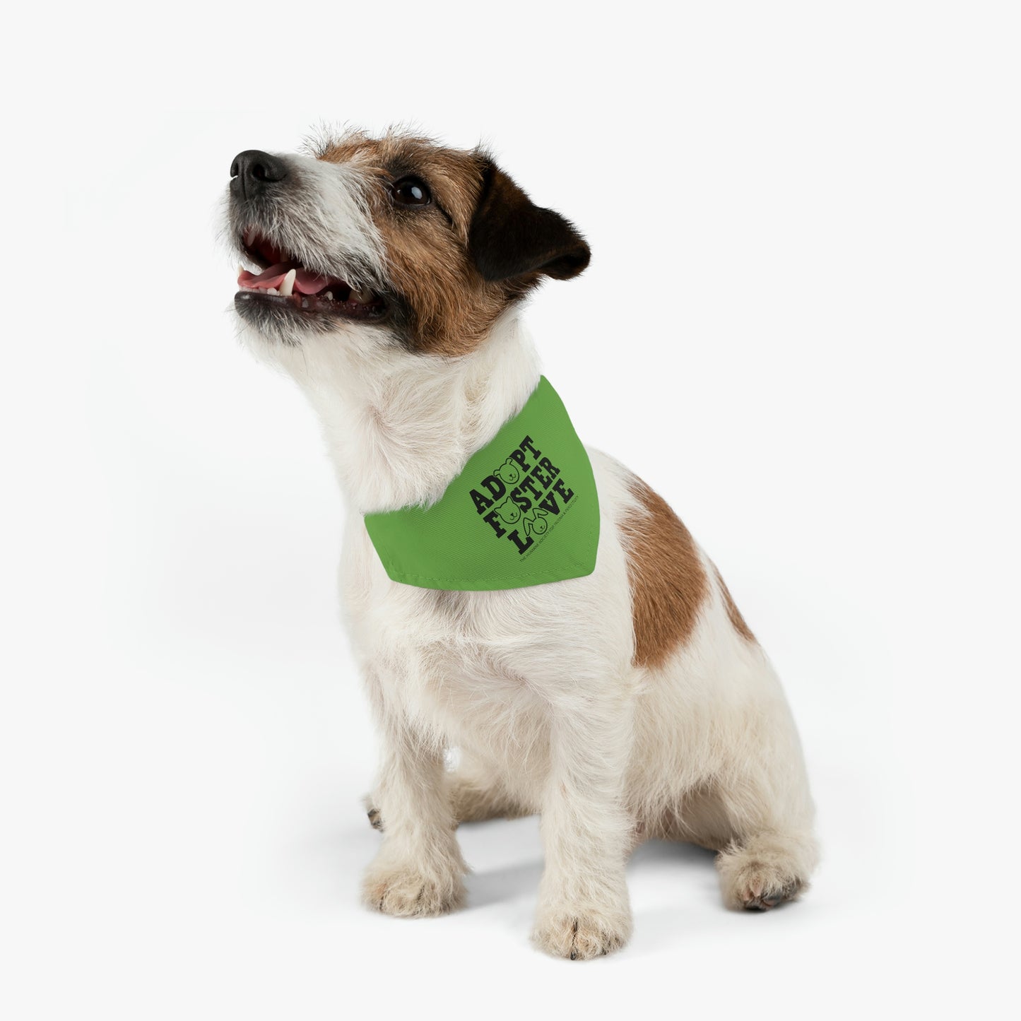 Adopt, Foster, Love Pet Bandana Collar