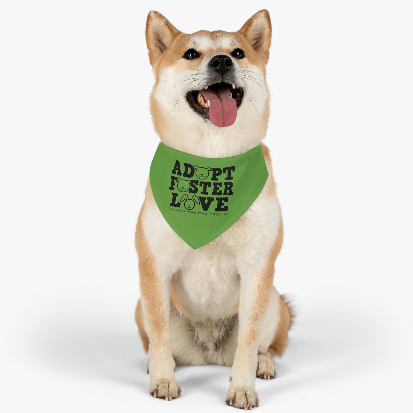 Adopt, Foster, Love Pet Bandana Collar